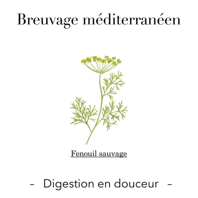 Breuvage méditerrannéen - Digestion en douceur