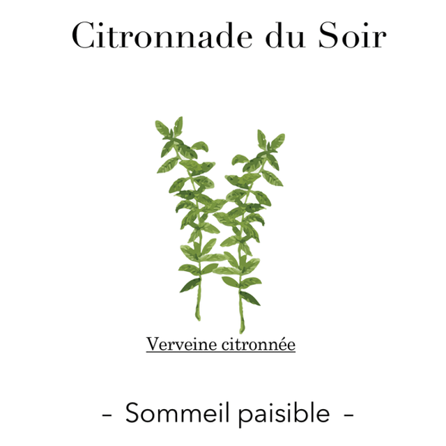Citronnade du Soir - Sommeil paisible