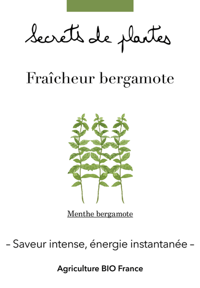 Fraîcheur bergamote - Saveur intense, énergie instantannée