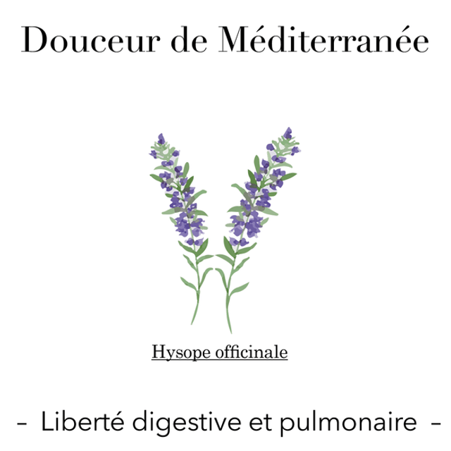 Douceur de Méditerranée - Liberté digestive et pulmonaire